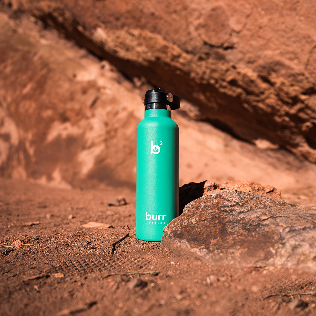 Spearmint Standard Mouth 24oz