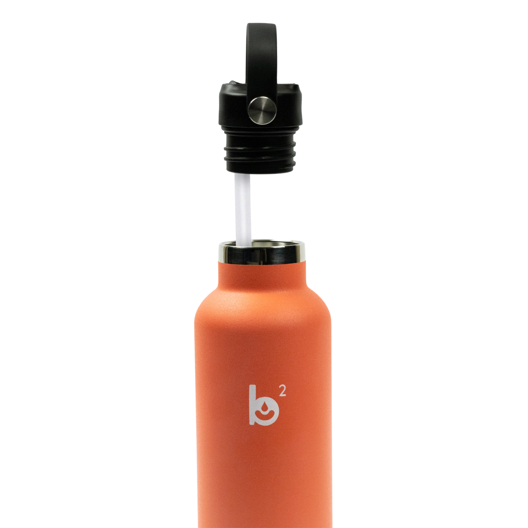 Coral Standard Mouth 24oz