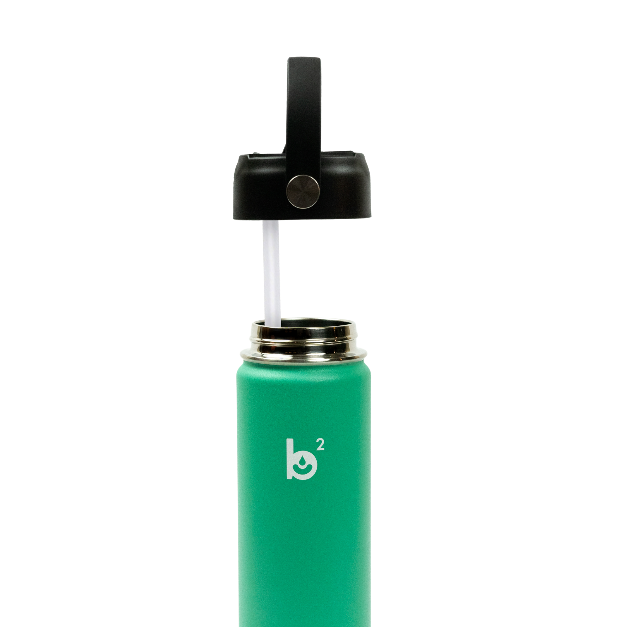 Spearmint Wide Mouth 24oz
