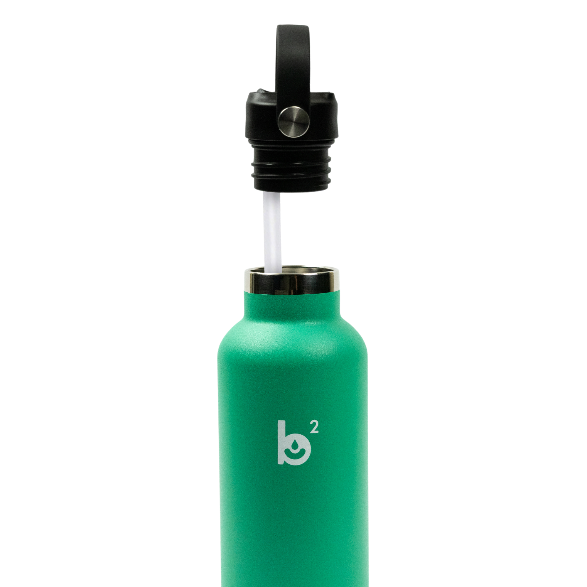 Spearmint Standard Mouth 24oz