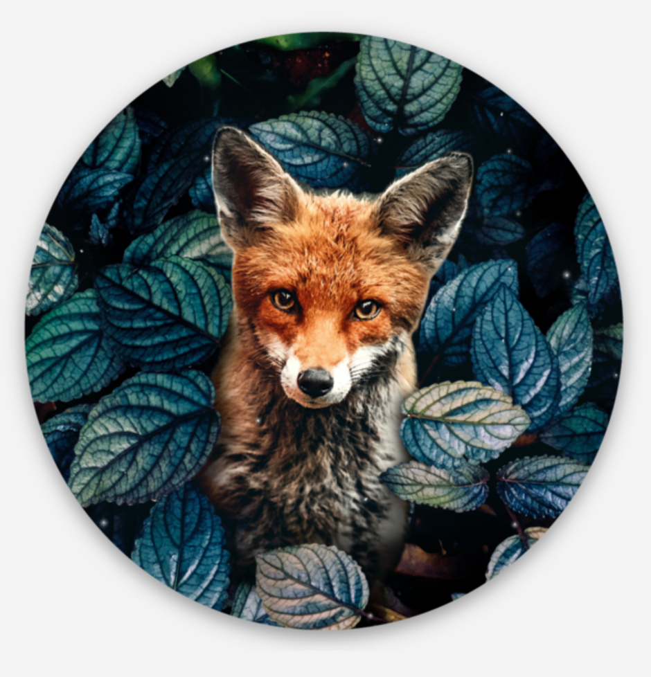 Wild Fox Sticker